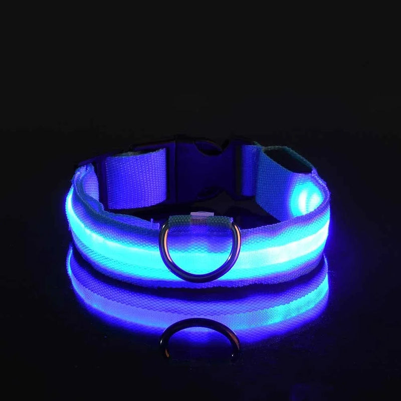 COLEIRA LED – Passeios noturnos garantidos com segurança!