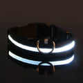 COLEIRA LED – Passeios noturnos garantidos com segurança!