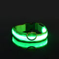 COLEIRA LED – Passeios noturnos garantidos com segurança!