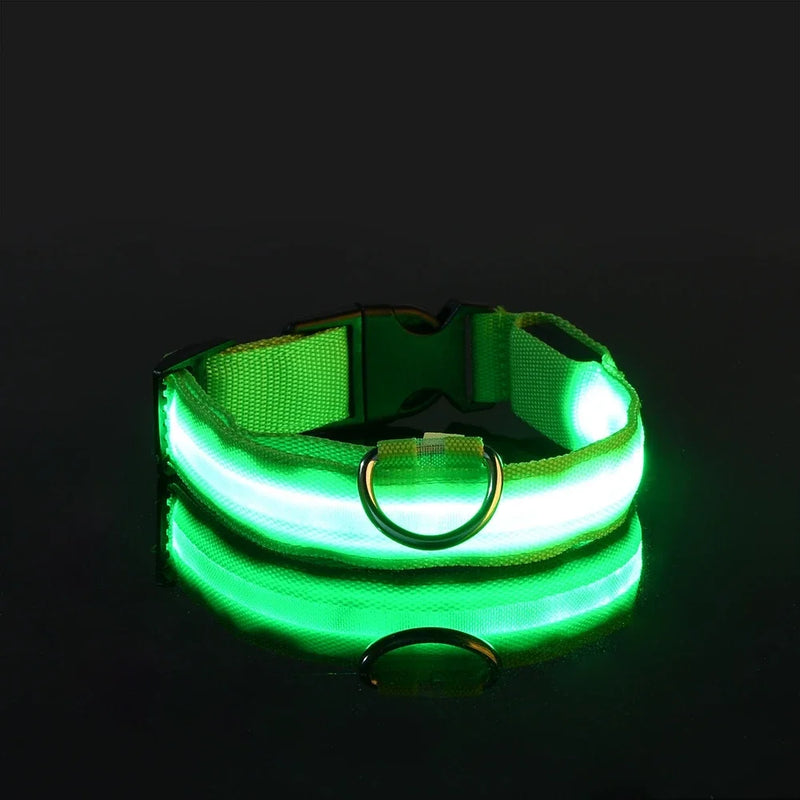 COLEIRA LED – Passeios noturnos garantidos com segurança!