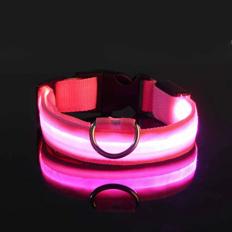 COLEIRA LED – Passeios noturnos garantidos com segurança!