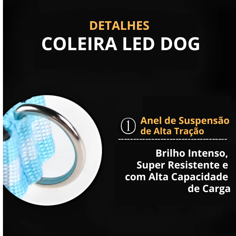 COLEIRA LED – Passeios noturnos garantidos com segurança!